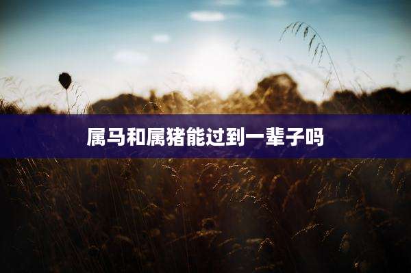 属马和属猪能过到一辈子吗