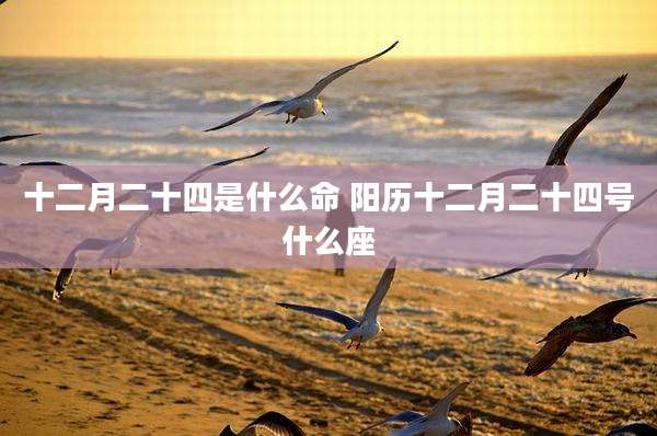 十二月二十四是什么命 阳历十二月二十四号什么座