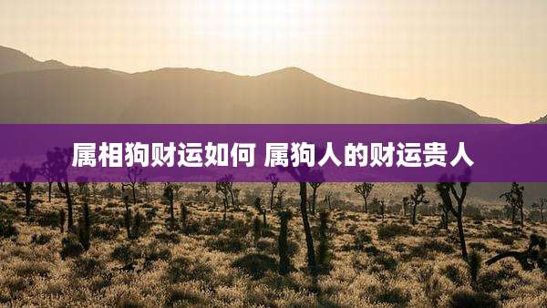 属相狗财运如何 属狗人的财运贵人
