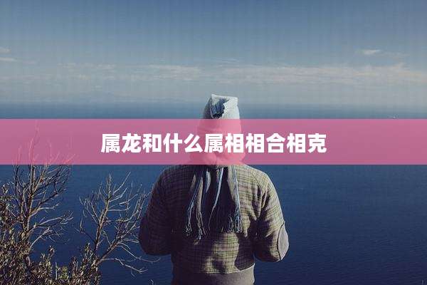 属龙和什么属相相合相克