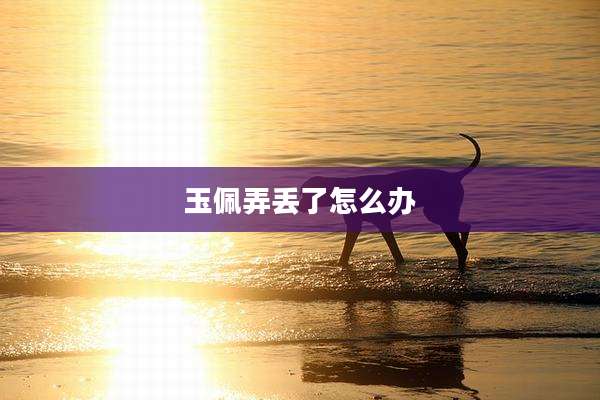 玉佩弄丢了怎么办
