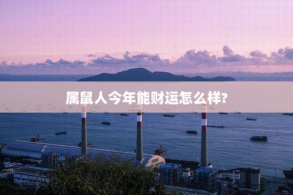 属鼠人今年能财运怎么样?