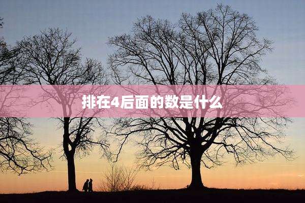 排在4后面的数是什么