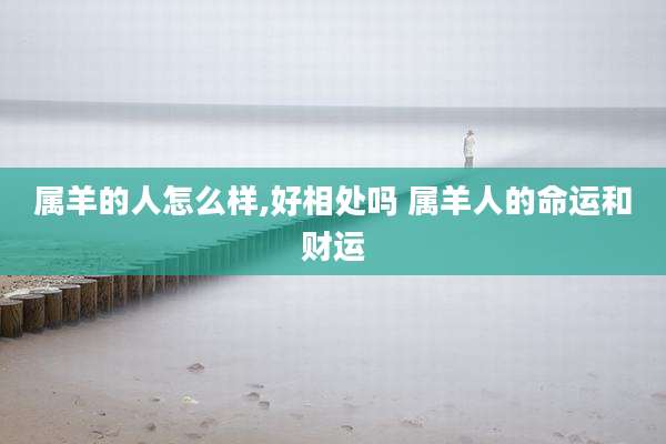 属羊的人怎么样,好相处吗 属羊人的命运和财运