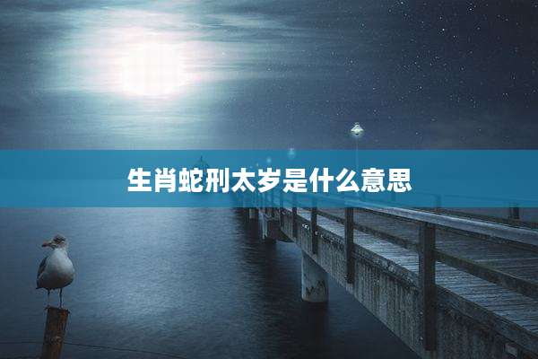生肖蛇刑太岁是什么意思