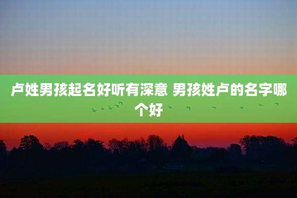 卢姓男孩起名好听有深意 男孩姓卢的名字哪个好