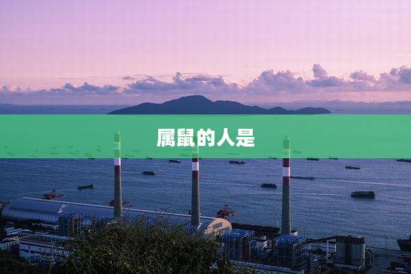 属鼠的人是