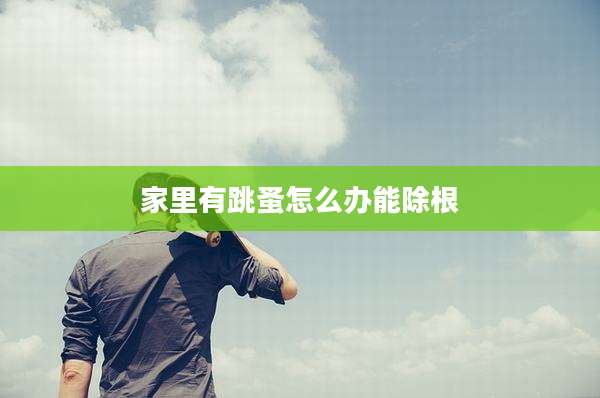 家里有跳蚤怎么办能除根