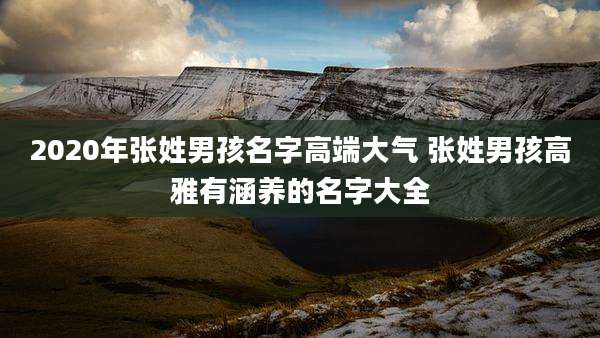 2020年张姓男孩名字高端大气 张姓男孩高雅有涵养的名字大全