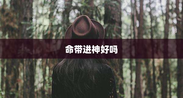 命带进神好吗