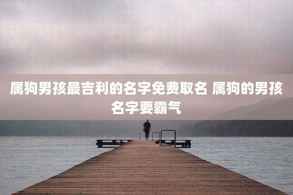 属狗男孩最吉利的名字免费取名 属狗的男孩名字要霸气