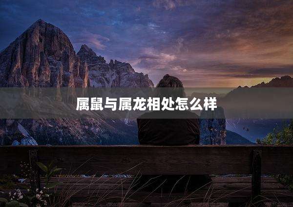 属鼠与属龙相处怎么样