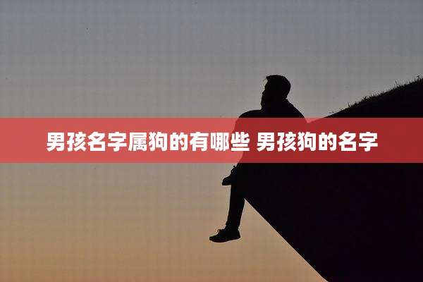 男孩名字属狗的有哪些 男孩狗的名字
