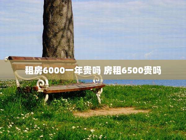 租房6000一年贵吗 房租6500贵吗
