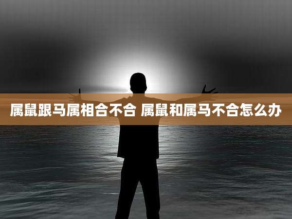 属鼠跟马属相合不合 属鼠和属马不合怎么办