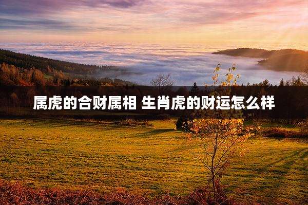 属虎的合财属相 生肖虎的财运怎么样