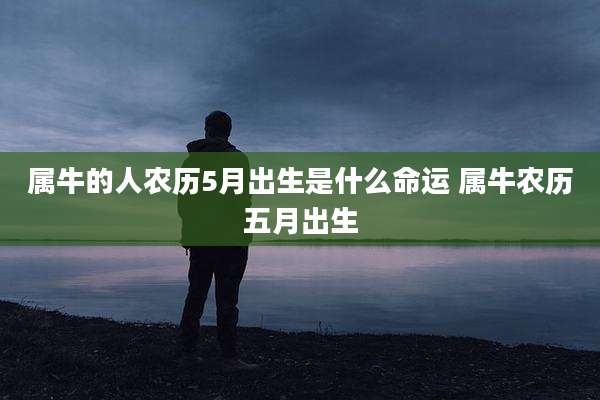 属牛的人农历5月出生是什么命运 属牛农历五月出生