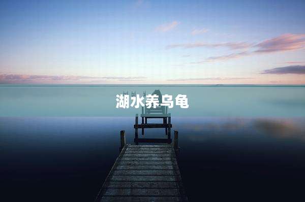 湖水养乌龟