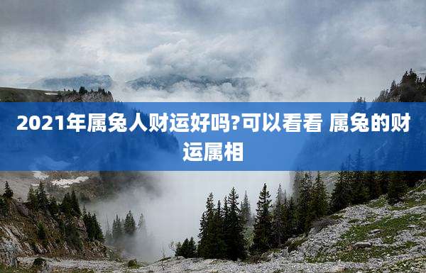 2021年属兔人财运好吗?可以看看 属兔的财运属相