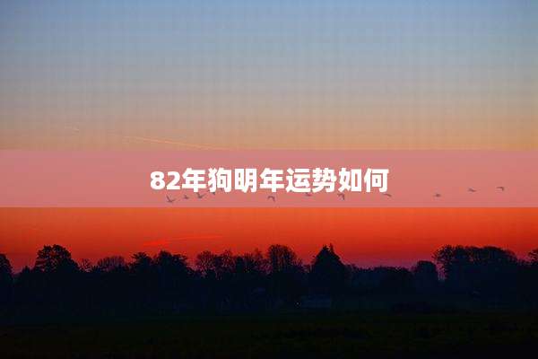 82年狗明年运势如何
