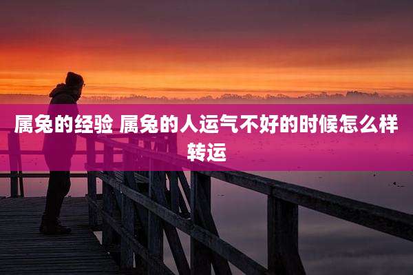 属兔的经验 属兔的人运气不好的时候怎么样转运