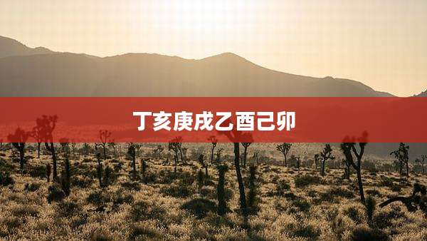 丁亥庚戌乙酉己卯