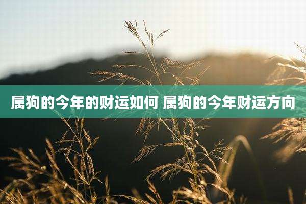属狗的今年的财运如何 属狗的今年财运方向