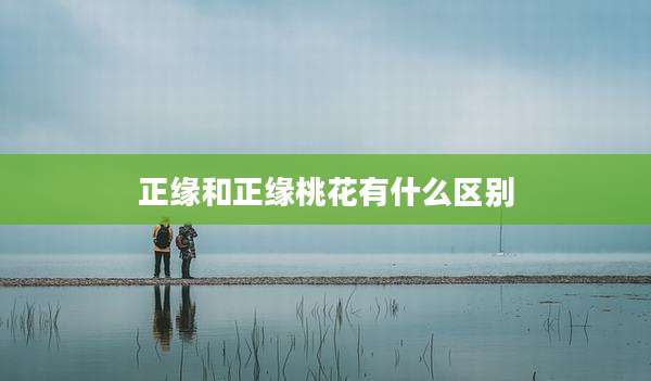 正缘和正缘桃花有什么区别