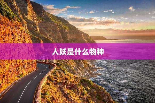 人妖是什么物种