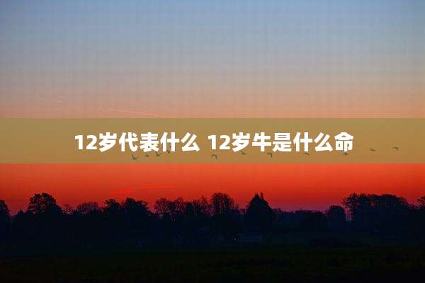 12岁代表什么 12岁牛是什么命