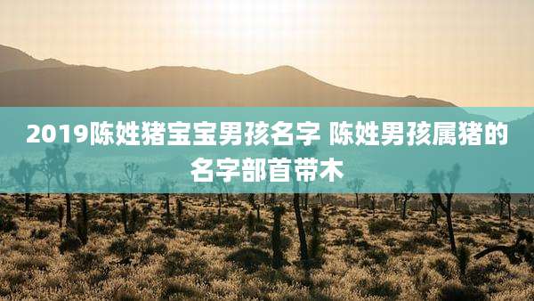 2019陈姓猪宝宝男孩名字 陈姓男孩属猪的名字部首带木