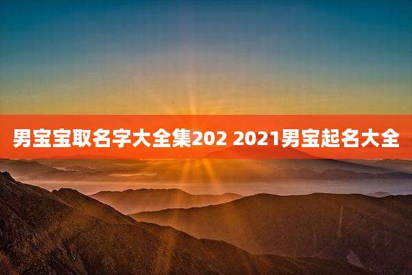 男宝宝取名字大全集202 2021男宝起名大全