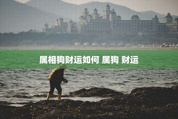 属相狗财运如何 属狗 财运