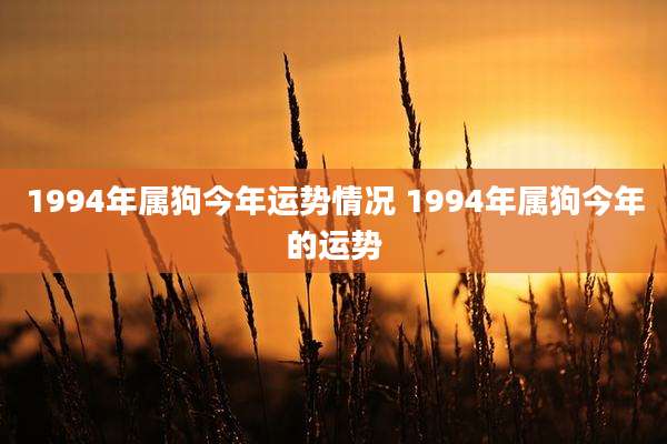 1994年属狗今年运势情况 1994年属狗今年的运势