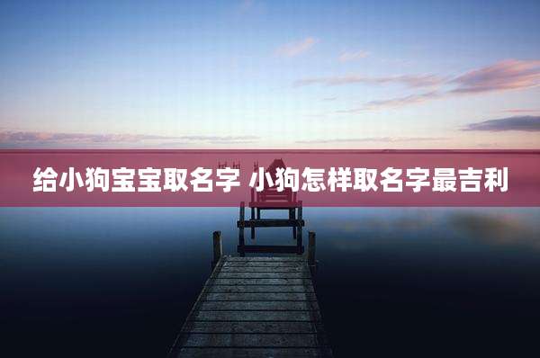 给小狗宝宝取名字 小狗怎样取名字最吉利