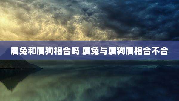 属兔和属狗相合吗 属兔与属狗属相合不合