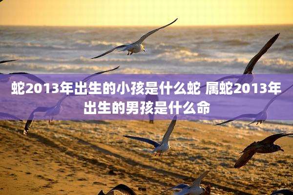 蛇2013年出生的小孩是什么蛇 属蛇2013年出生的男孩是什么命