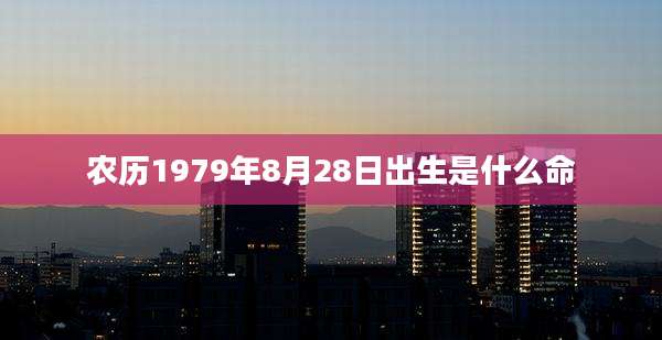 农历1979年8月28日出生是什么命
