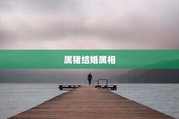 属猪结婚属相