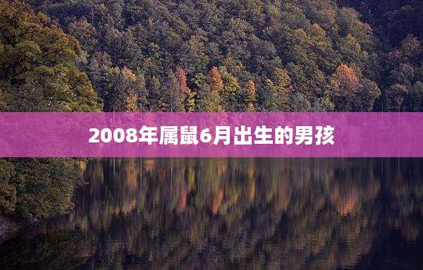 2008年属鼠6月出生的男孩