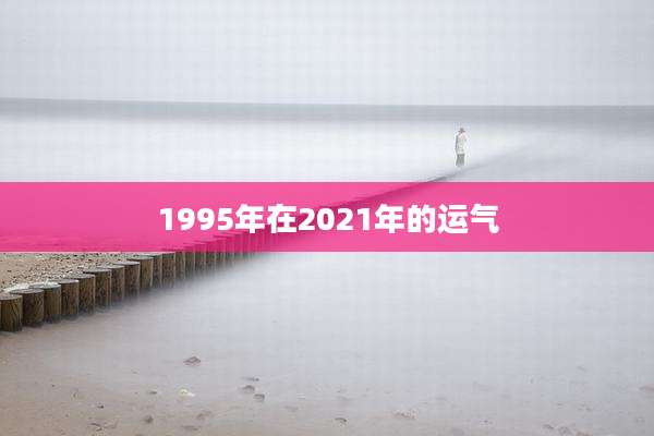 1995年在2021年的运气