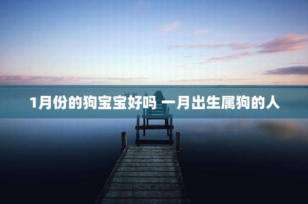 1月份的狗宝宝好吗 一月出生属狗的人