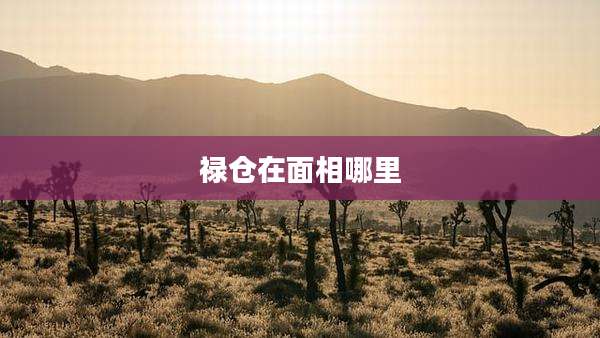 禄仓在面相哪里
