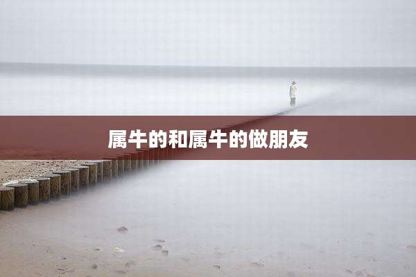 属牛的和属牛的做朋友