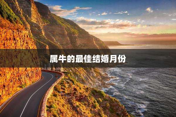 属牛的最佳结婚月份