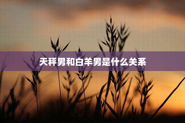 天秤男和白羊男是什么关系