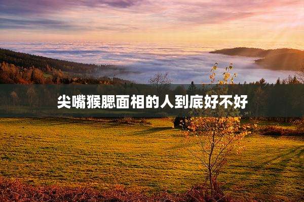 尖嘴猴腮面相的人到底好不好