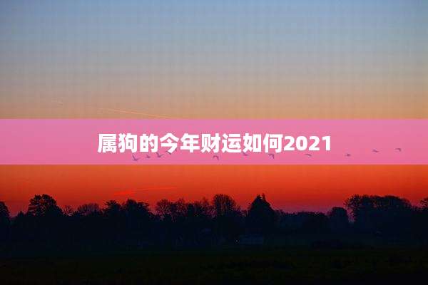 属狗的今年财运如何2021