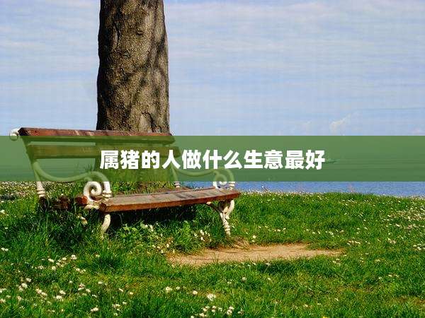 属猪的人做什么生意最好