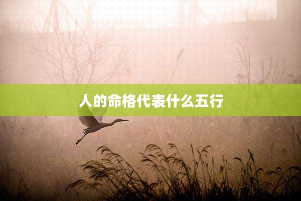 人的命格代表什么五行